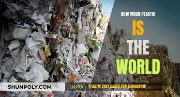 The World's Plastic Problem: A Global Crisis