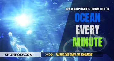 The Ocean's Plastic Crisis: Every Minute Matters