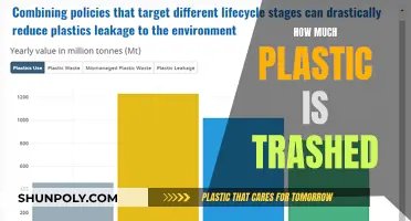 The Plastic Trash Crisis: A Global Concern