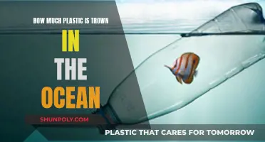 The Ocean's Plastic Problem: An Ominous Overview