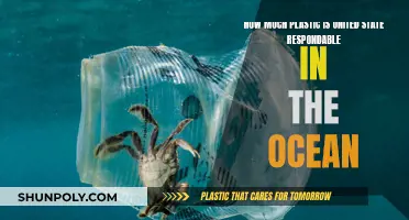 US Plastic Pollution: Ocean Crisis