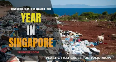 Singapore's Annual Plastic Waste: A Troubling Overview