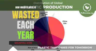 The World's Plastic Waste: An Annual Crisis