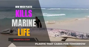 Plastic's Deadly Marine Toll: Understanding the Lethal Impact