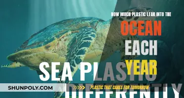 The Ocean's Plastic Crisis: An Annual Tragedy