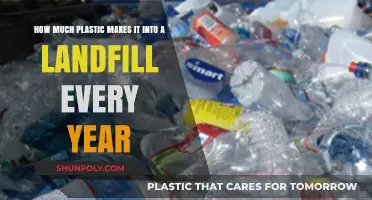 Annual Plastic Waste Crisis: Landfill Impact and Environmental Consequences