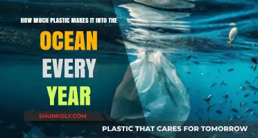 Alarming Ocean Plastic Influx: Annual Pollution Rates Revealed