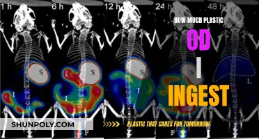 Plastic Ingestion: How Much Am I Consuming?