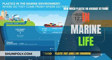 Plastic Pollution in Marine Life: An Average Estimate