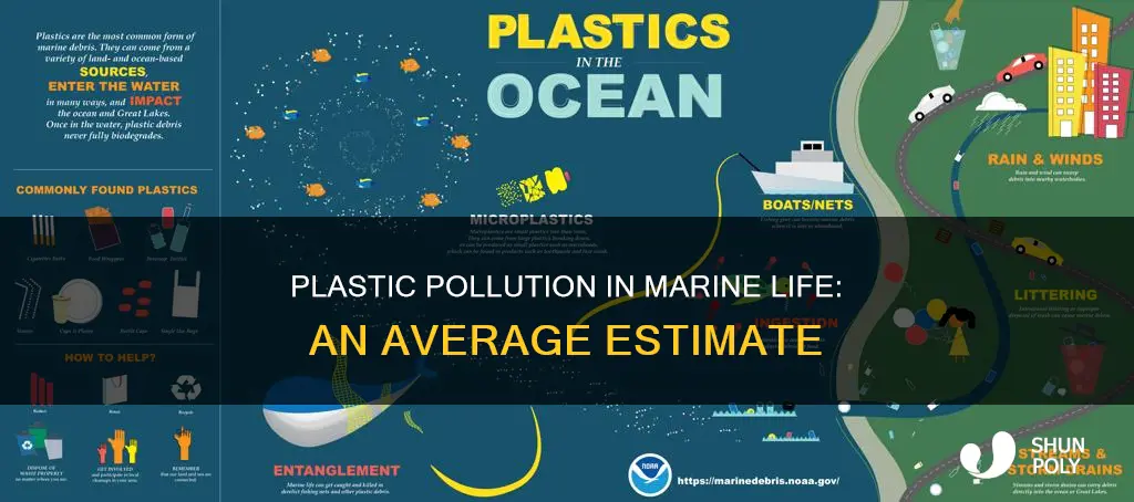 how much plastic on average is foung in marine life
