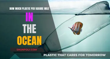 The Ocean's Plastic Problem: Miles of Pollution