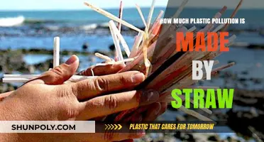 The Surprising Impact of Straws on Plastic Pollution
