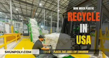 Recycling Efforts: USA's Plastic Waste Management