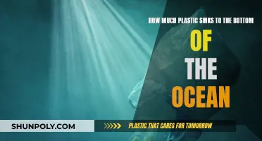 Plastic's Ocean Grave: What Lies Beneath the Waves?