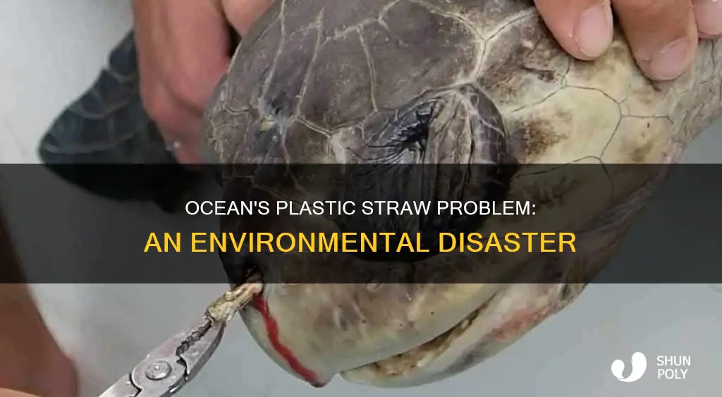 how much plastic straws are in the ocean