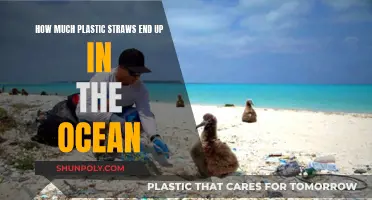 Plastic Straws: Ocean's Deadliest Killers