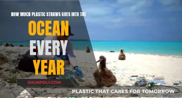 Ocean's Plastic Straw Problem: An Annual Tragedy