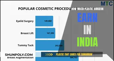 Plastic Surgeons in India: High-Earning Professionals