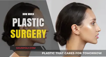 Exploring the Cost and Extent of Plastic Surgery Procedures