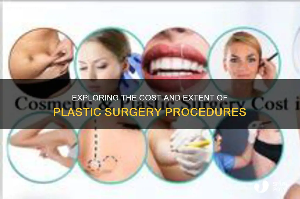 how much plastic surgery