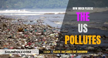 US Plastic Pollution: A Troubling Reality Check