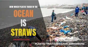 Ocean Straw Pollution: Understanding the Plastic Crisis