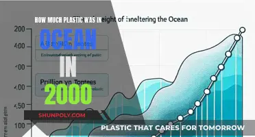 The Ocean's Plastic Problem: A 2000 Recap