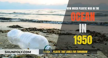 The Ocean's Plastic Crisis: 1950's Unseen Pollution