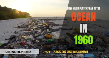 The Ocean's Plastic Problem: 1960's Legacy