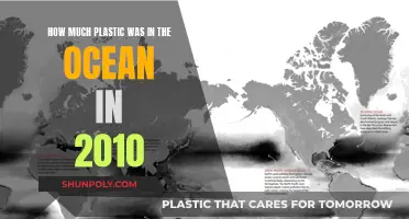 The Ocean's Plastic Problem in 2010: An Overview