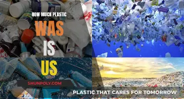 Plastic Usage: Our Daily Lives and Plastic Consumption