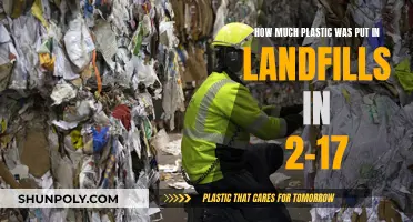 Plastic Landfills: The Troubling 2017 Statistics