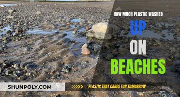 Beaches Overwhelmed by Plastic Pollution: A Global Crisis