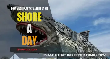 Shocking Amounts of Plastic Wash Up on Shores Daily