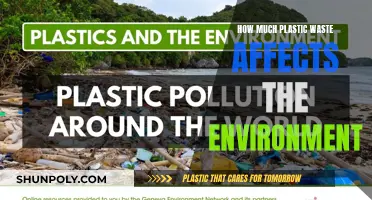 Plastic Waste: Environmental Impact and Our Future