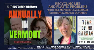 Vermont's Annual Plastic Waste: A Concerning Issue