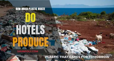 Plastic Waste Crisis: Hotels' Role and Responsibility