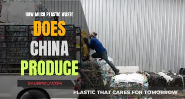 China's Plastic Waste Crisis: An Environmental Catastrophe