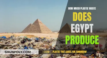 Egypt's Plastic Waste Problem: An Environmental Crisis