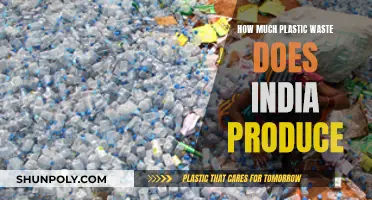 India's Plastic Waste Crisis: Understanding the Devastating Impact