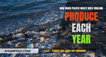 Thailand's Annual Plastic Waste Production: A Troubling Issue