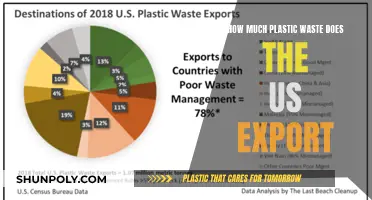 US Plastic Waste Export: A Troubling Trade