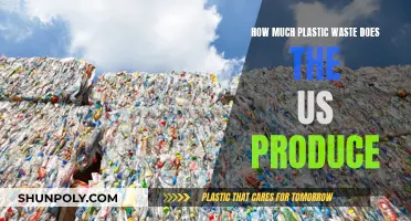 The US's Plastic Waste Problem: A Startling Overview