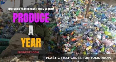 Vietnam's Annual Plastic Waste Production: A Troubling Overview