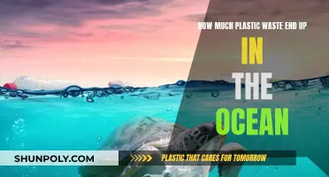 The Ocean's Plastic Crisis: Understanding the Devastating Impact