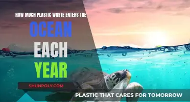 The Ocean's Plastic Crisis: An Annual Tragedy