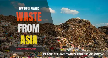 Asia's Plastic Problem: A Waste Crisis