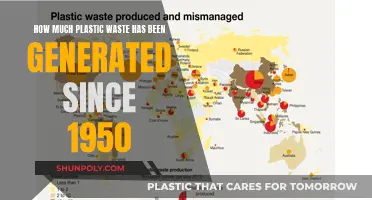 The Plastic Plague: Post-1950s Waste Generation