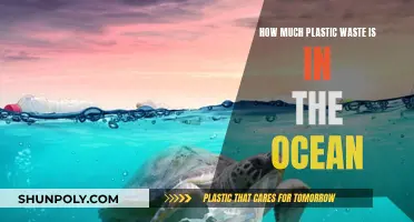 The Ocean's Plastic Crisis: Understanding the Devastating Impact