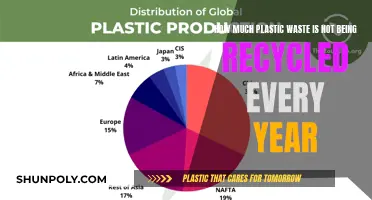 Plastic Waste Crisis: The Unrecycled Truth
